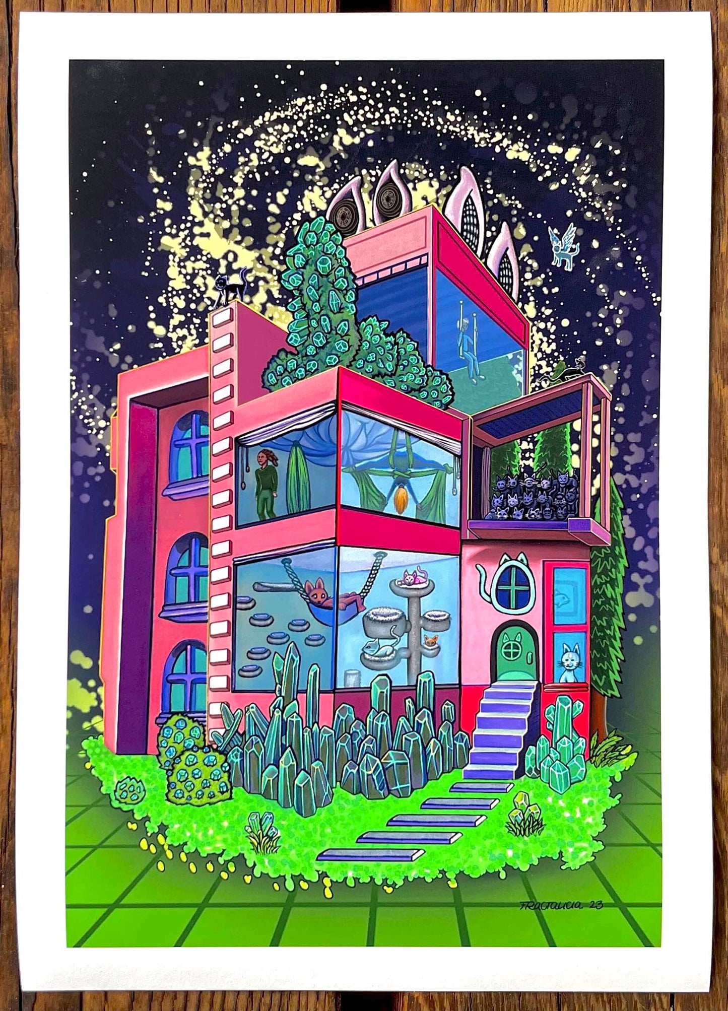 Aerial cat studio Print