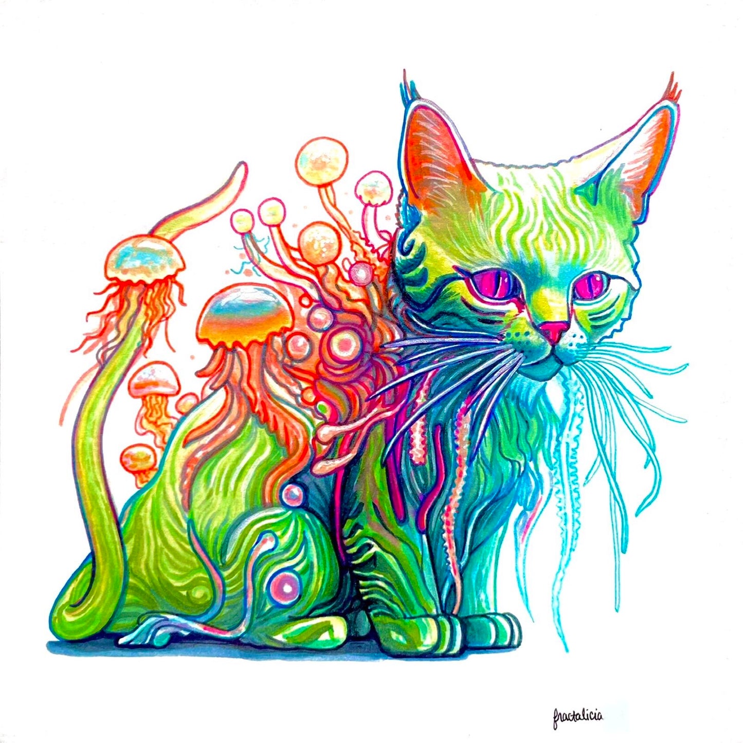 Jellycat Print