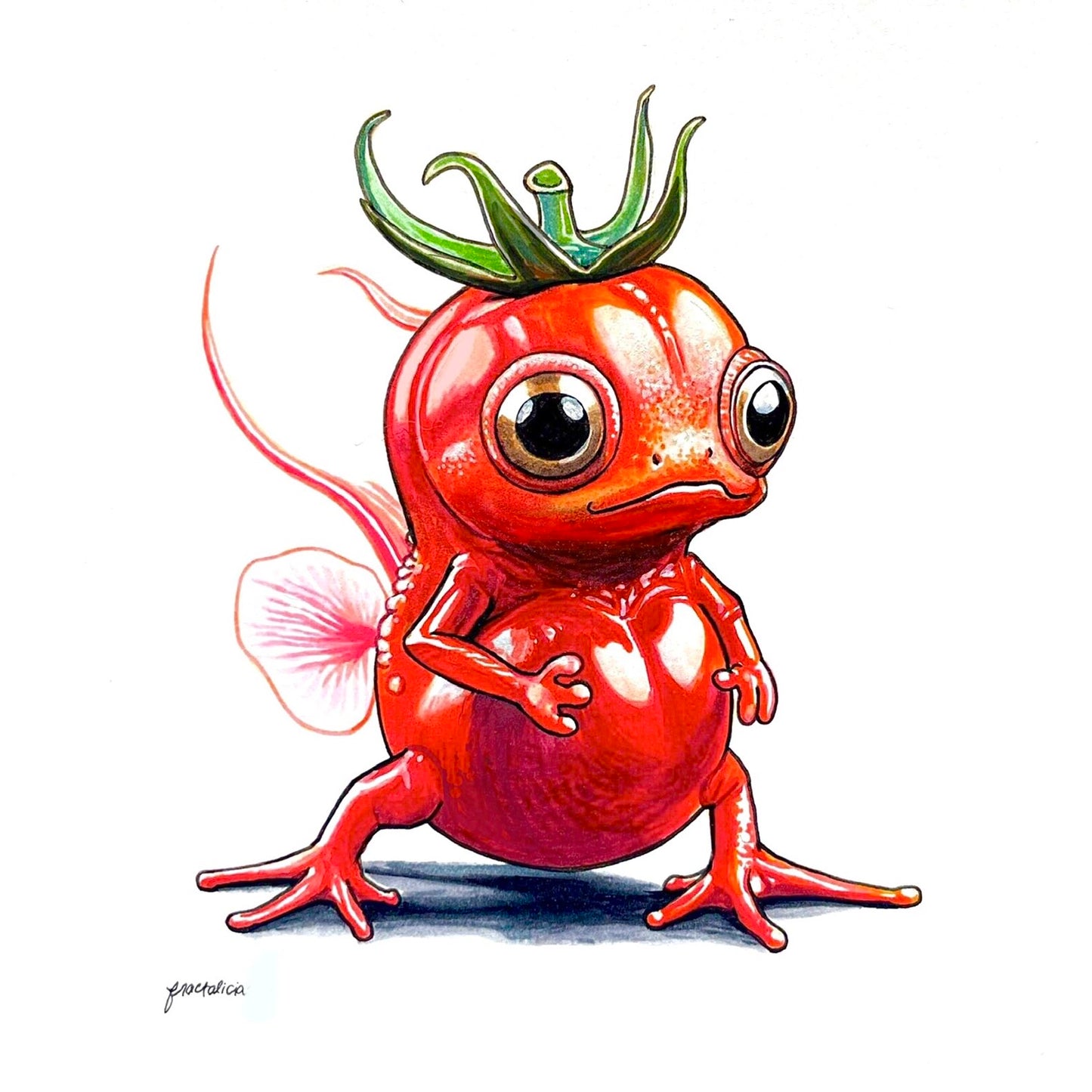 Tomatomander Print