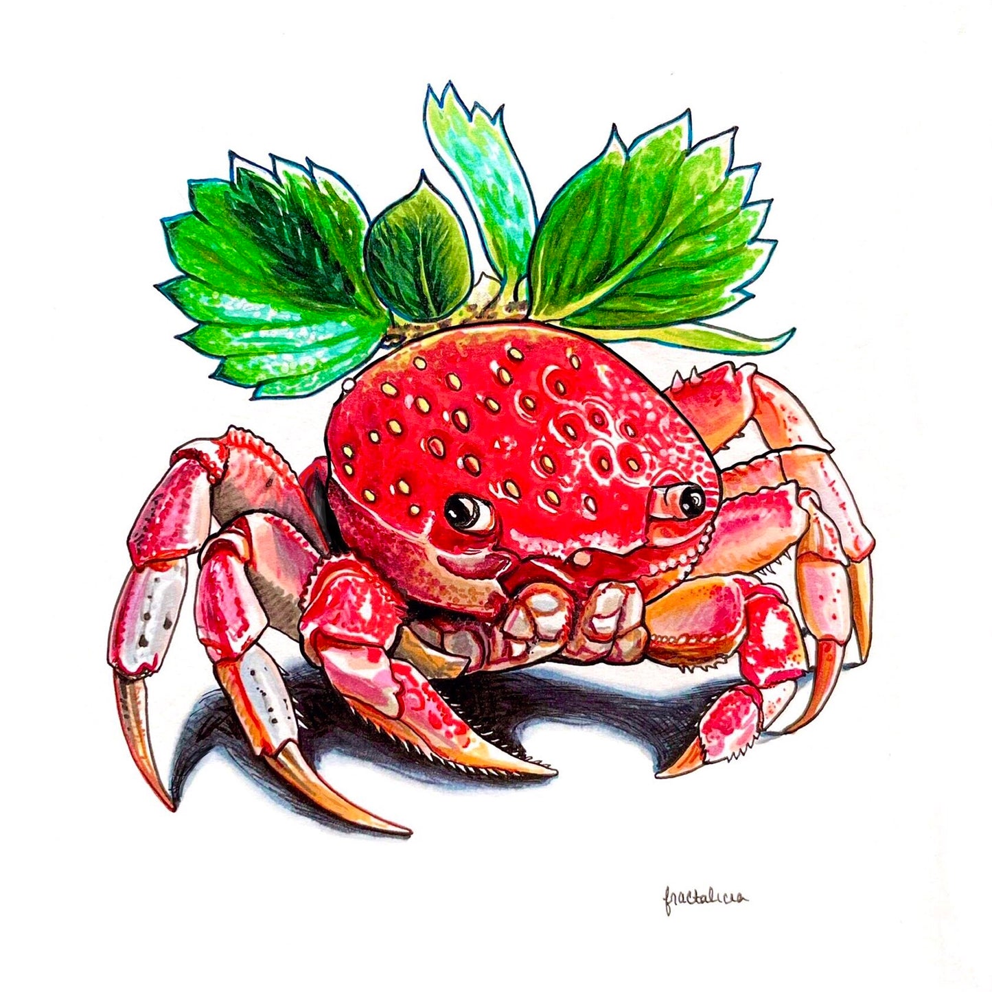 Craberry Print