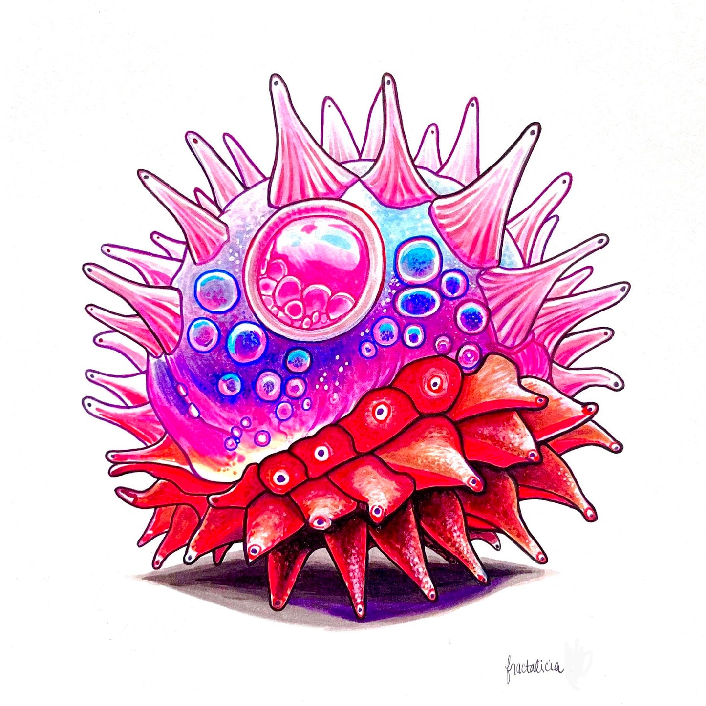Orb Print