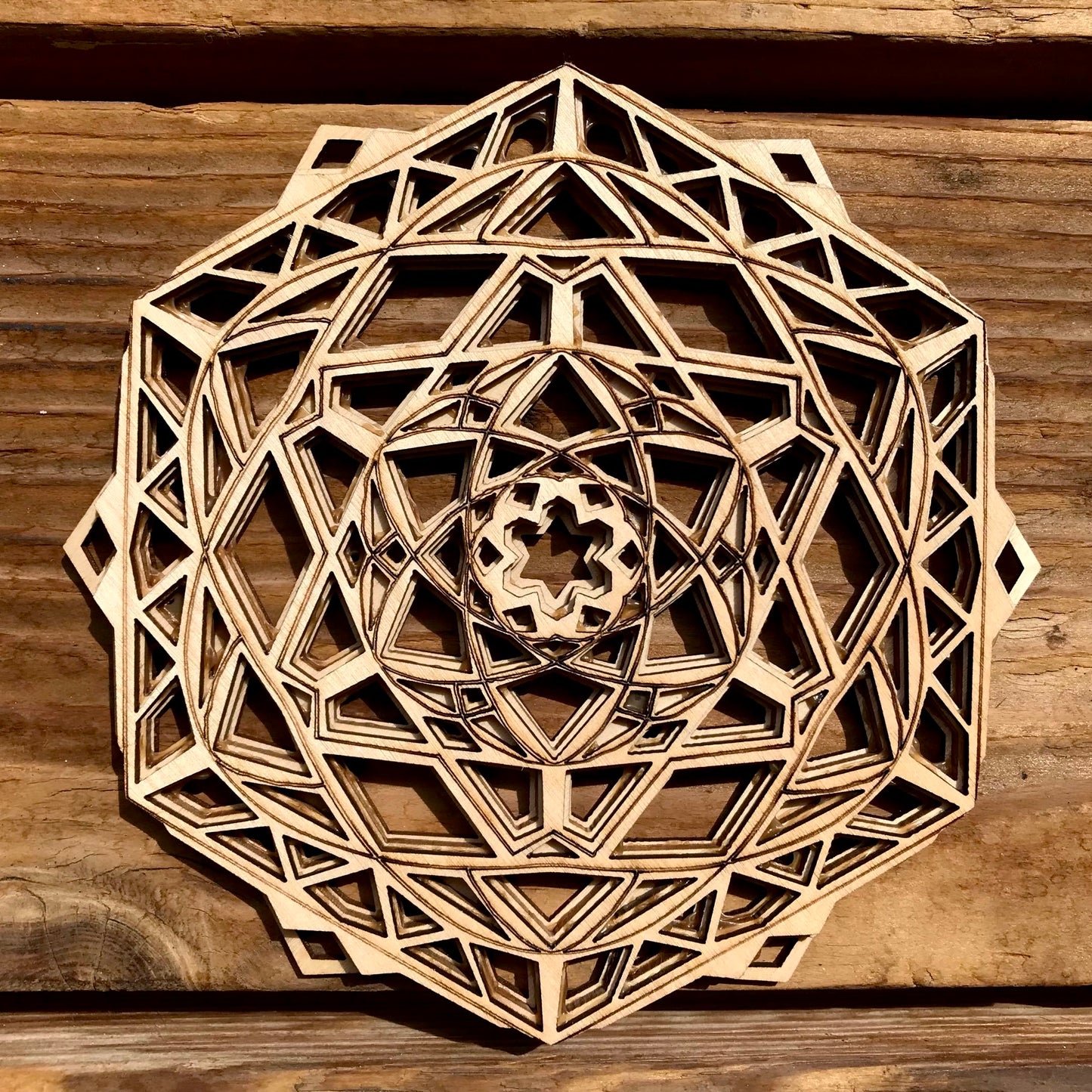 Cosmic Snowflake