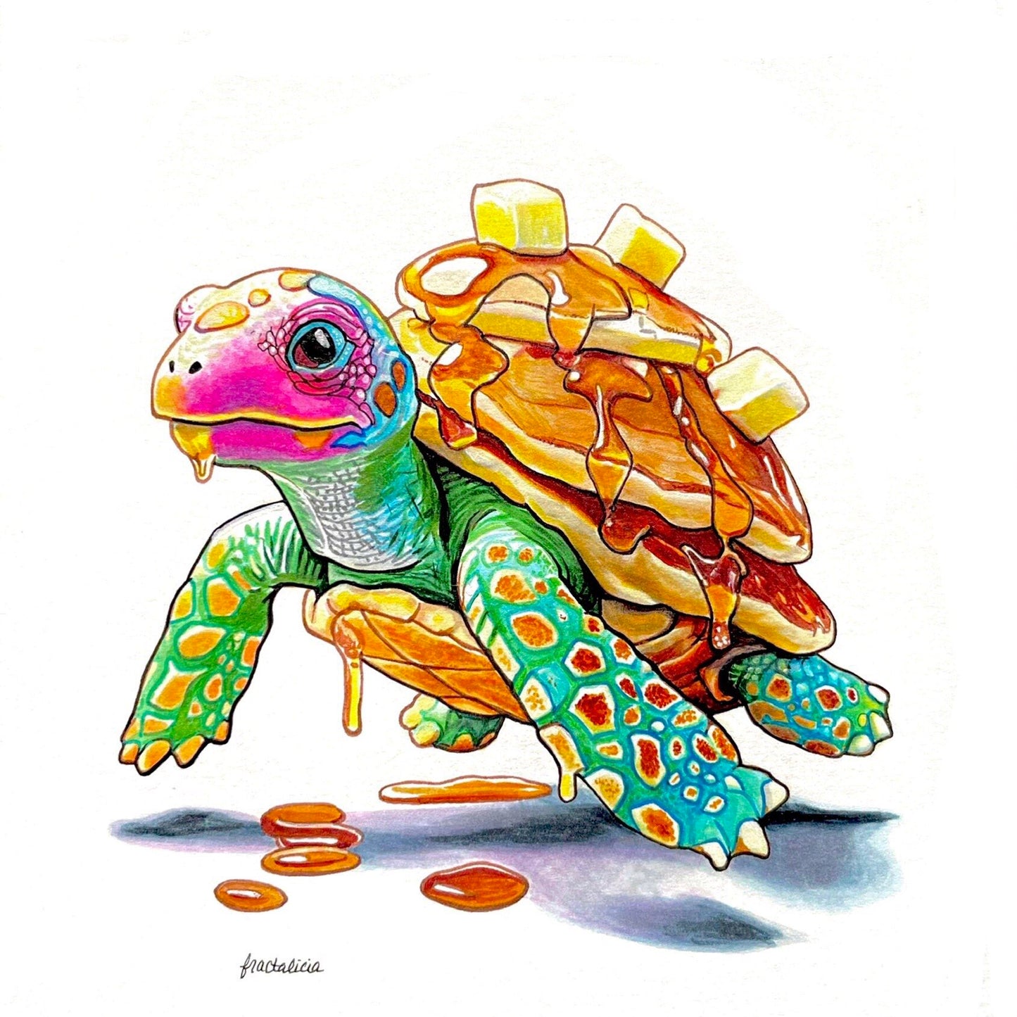 Buttermilk Turtle Print