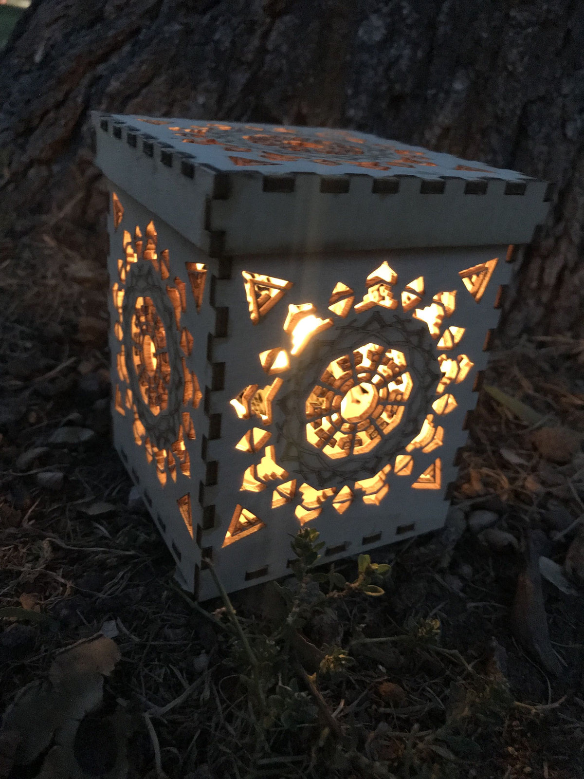 Firefly Box