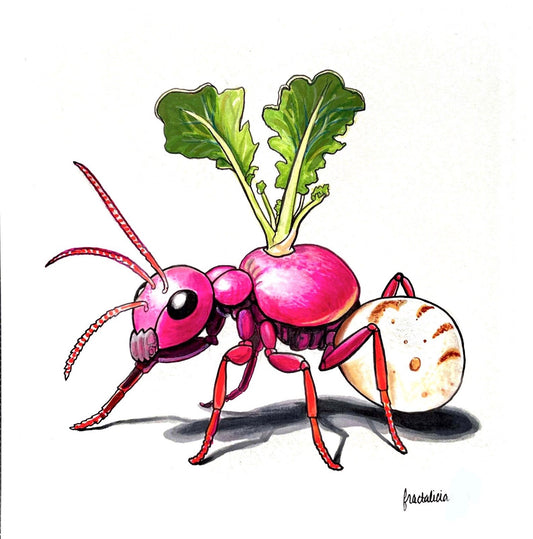Rad(ish) Ant Print