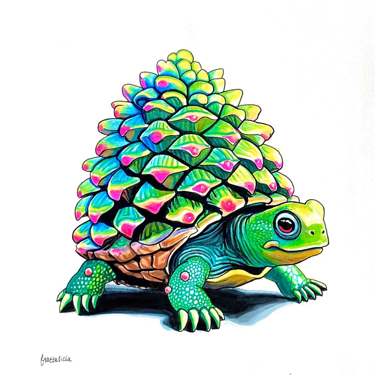 Pineturtle Print