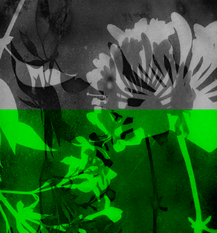Alt Image