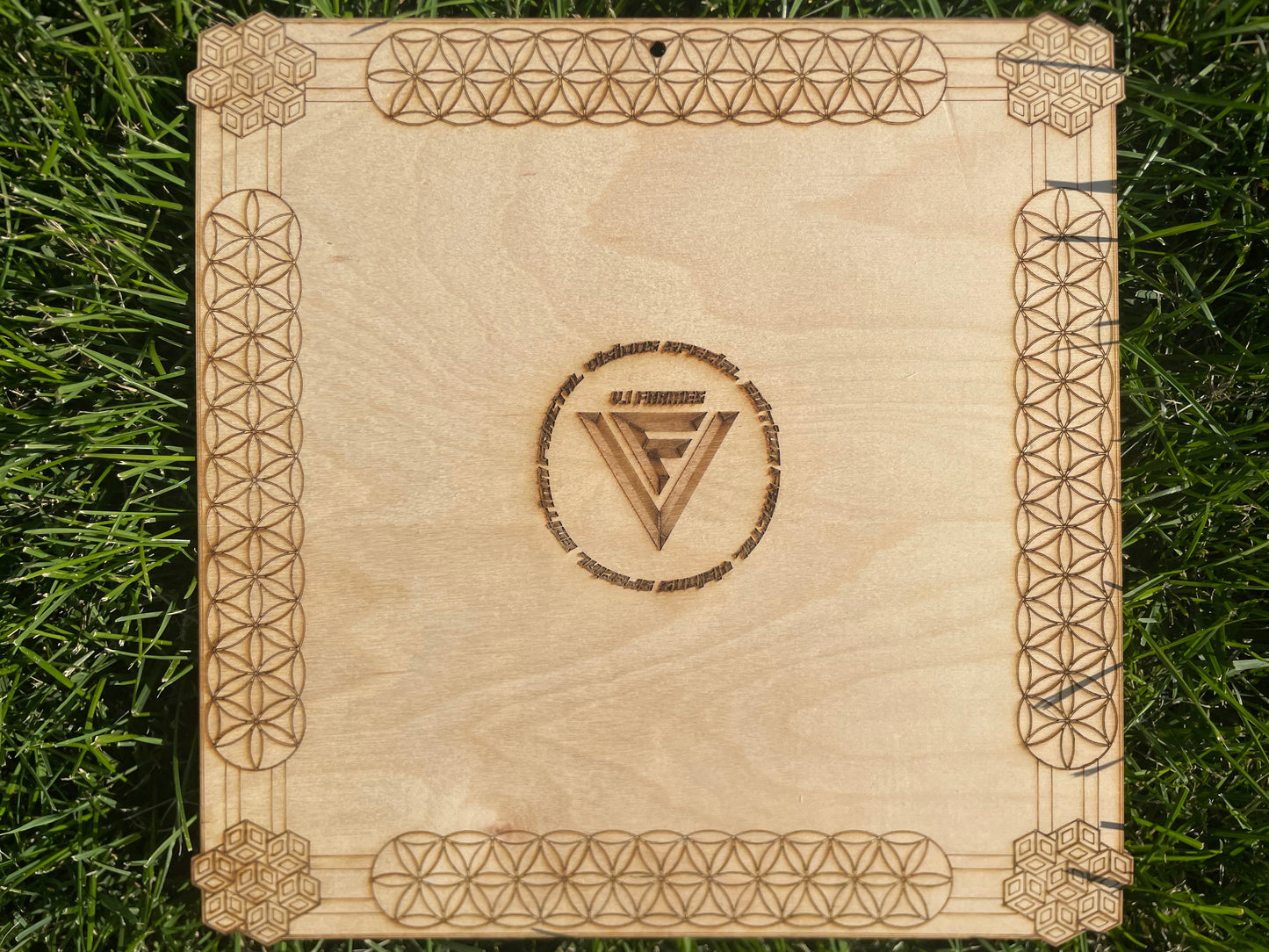 Electric Current with v.1 FV Frame