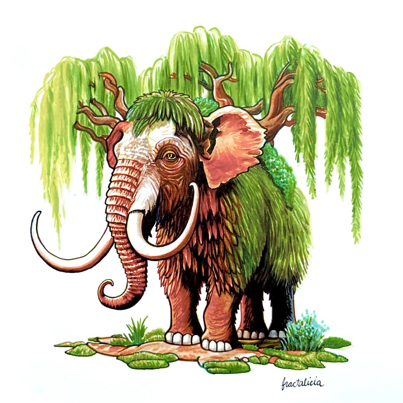Willow Mammoth Print
