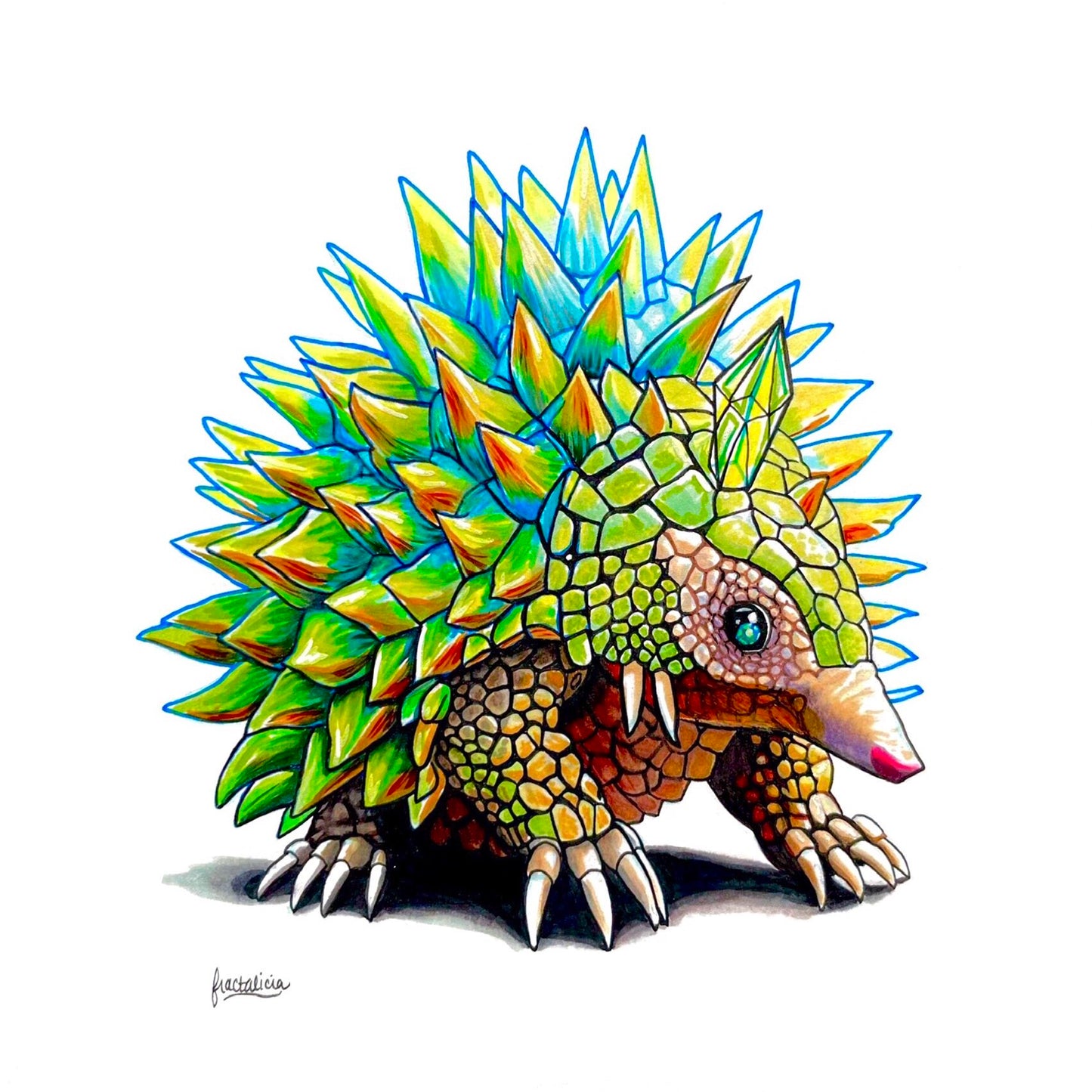 Starmadillo Print