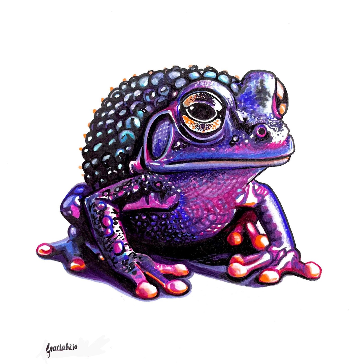 Froggleberry Print