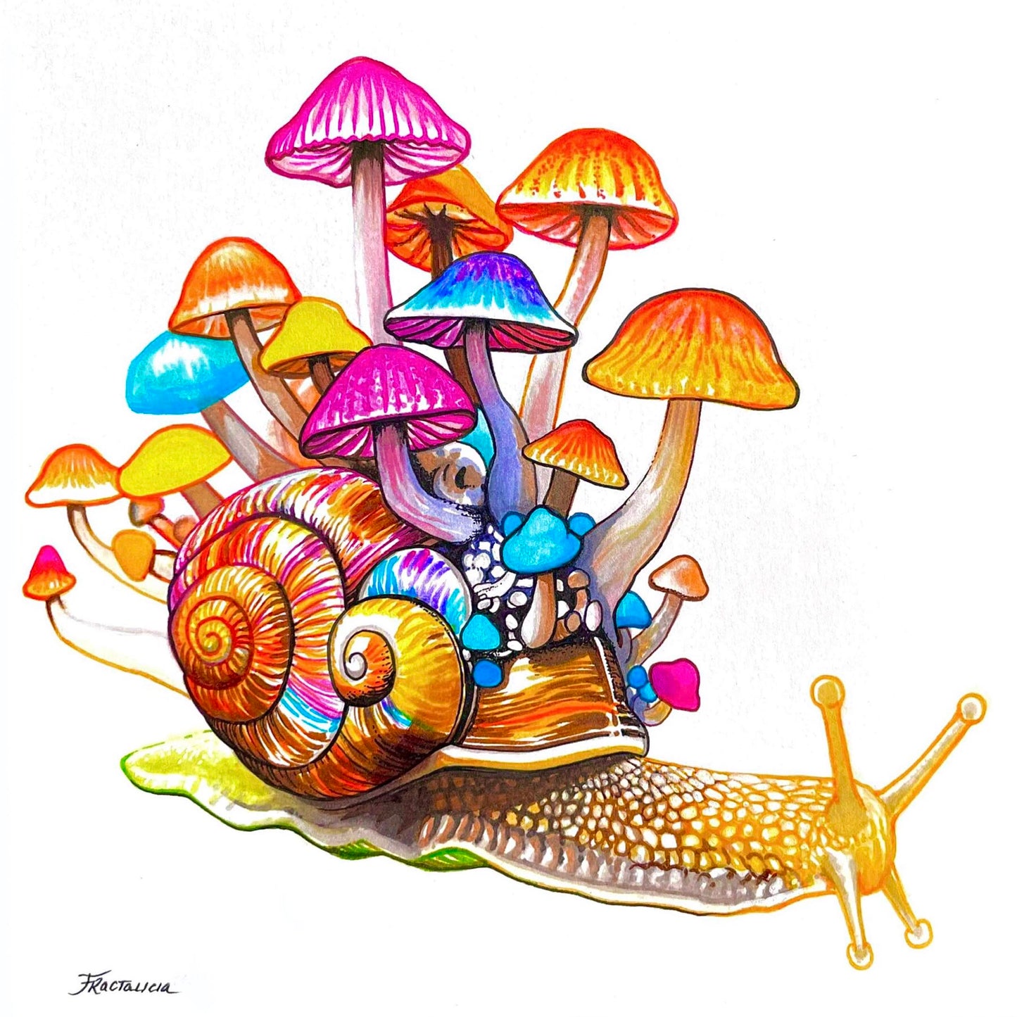 Mysnailium Print