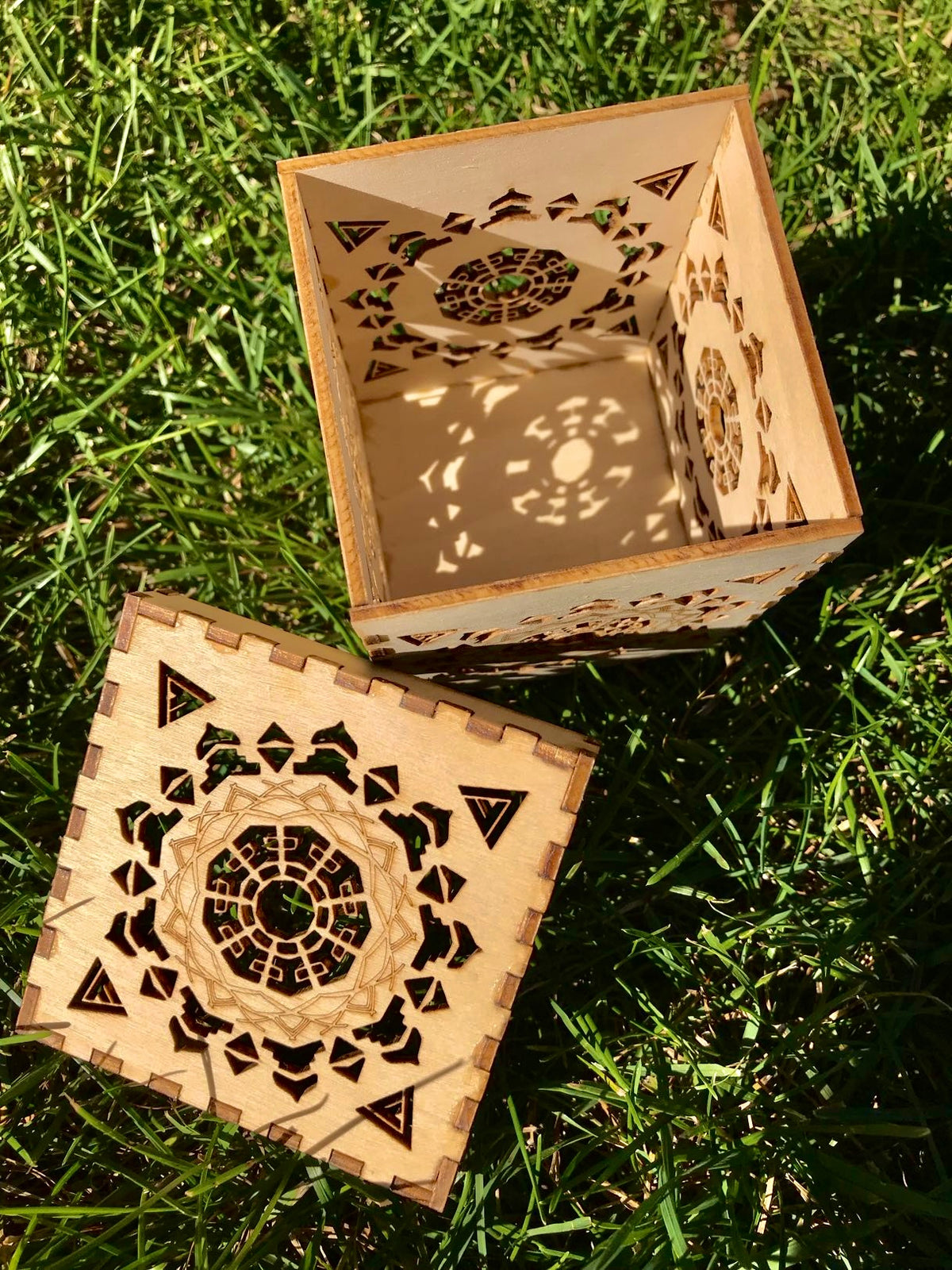 Firefly Box