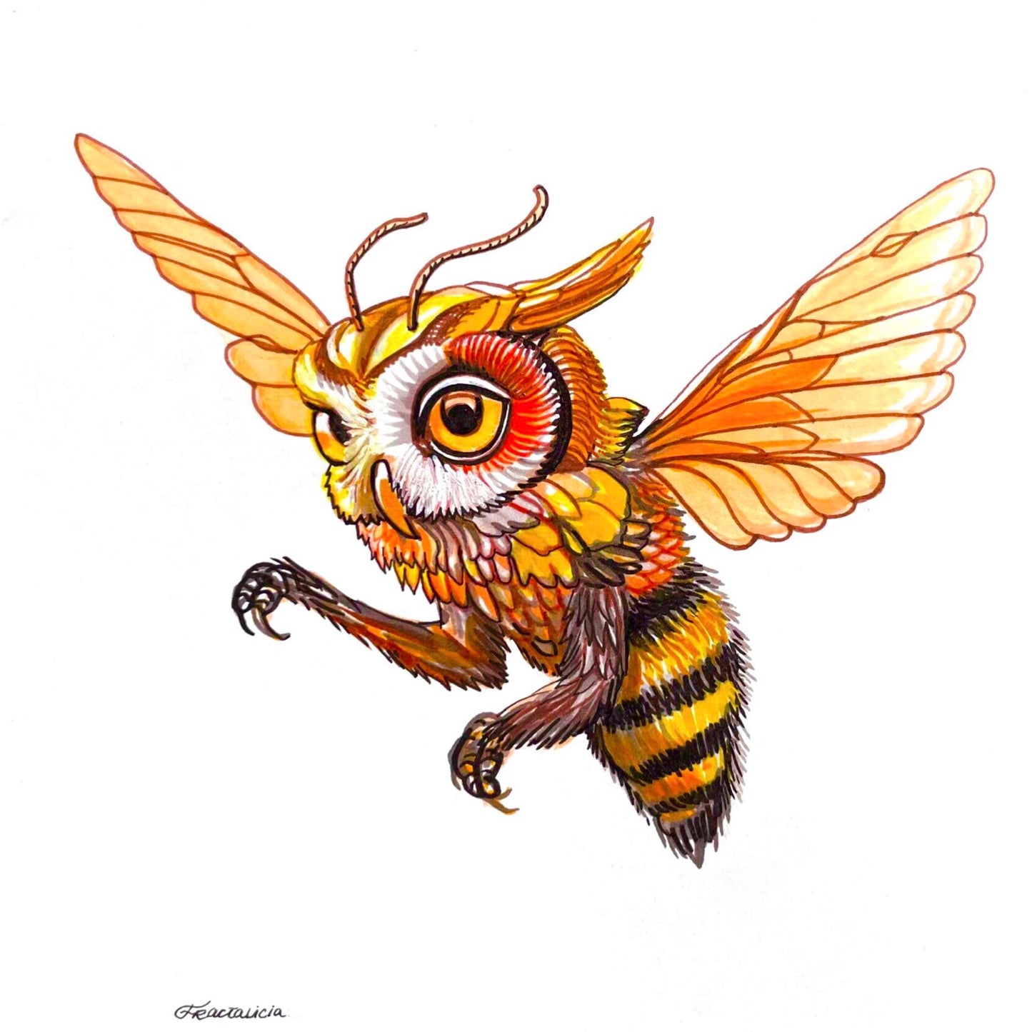 Owl Bee Flying Print