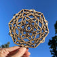 Cosmic Snowflake