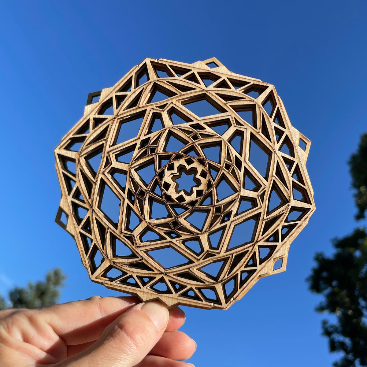 Cosmic Snowflake
