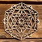 Cosmic Snowflake
