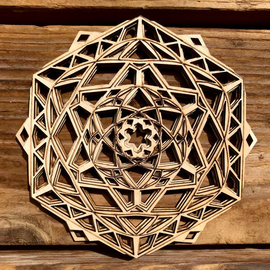 Cosmic Snowflake