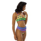 FV Recycled Chakra high-waisted bikini